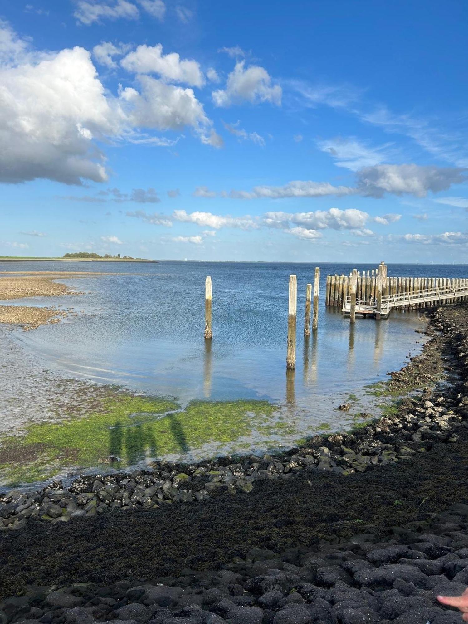 Oosterschelde Lodge Met Veel Privacy En Dicht Bij Het Water Scherpenisse Buitenkant foto